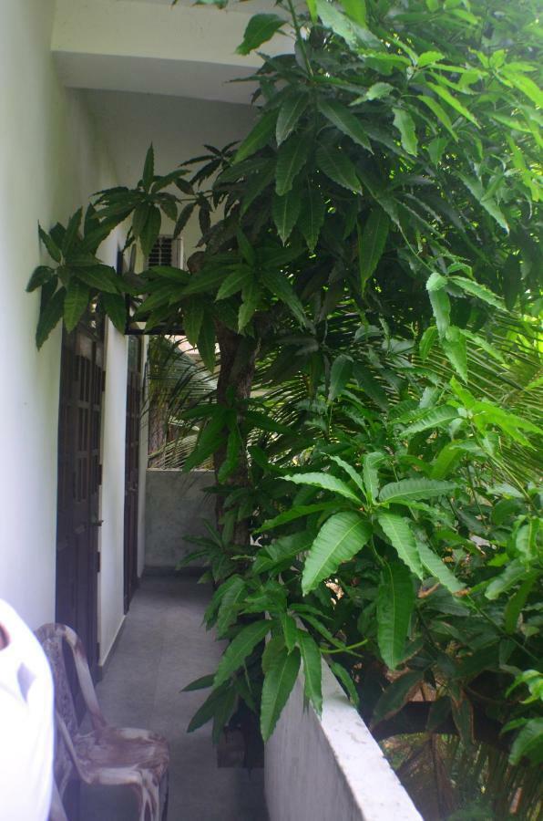 Steps Backpackers Hostel Colombo Exterior foto